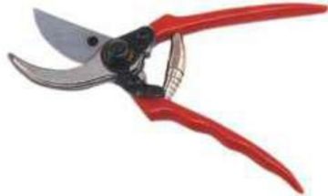 ΨΑΛΙΔΑ ΚΛΑΔΕΜΑΤΟΣ 210mm BEAST